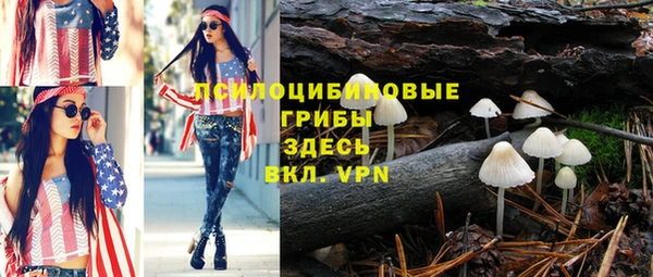 MESCALINE Богородицк