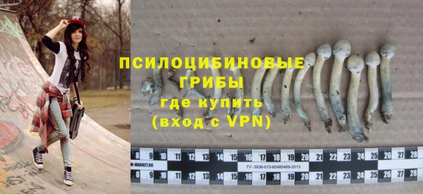 MESCALINE Богородицк