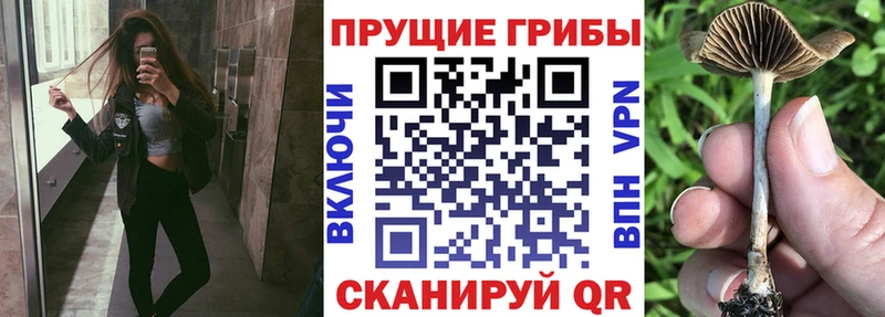 Галлюциногенные грибы MAGIC MUSHROOMS  кракен ссылки  Монино  купить наркотик 